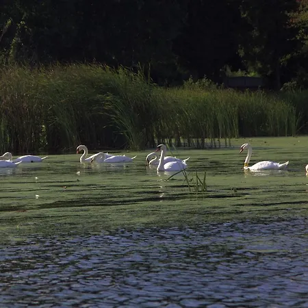 Lipowy Przyladek - Szkolenia I Wypoczynek Rezort